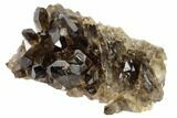 Dark Smoky Quartz Crystal Cluster - Brazil #119547-1
